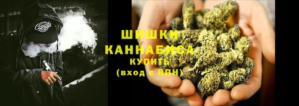 ГАЛЛЮЦИНОГЕННЫЕ ГРИБЫ Алзамай