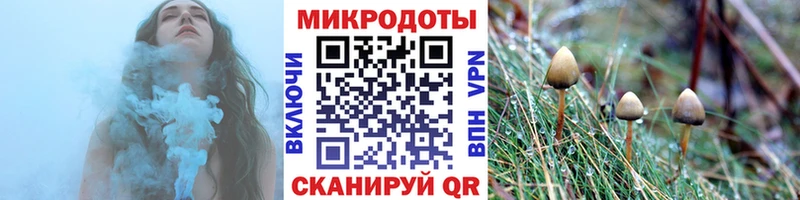 наркотики  Рыбное  Псилоцибиновые грибы MAGIC MUSHROOMS 